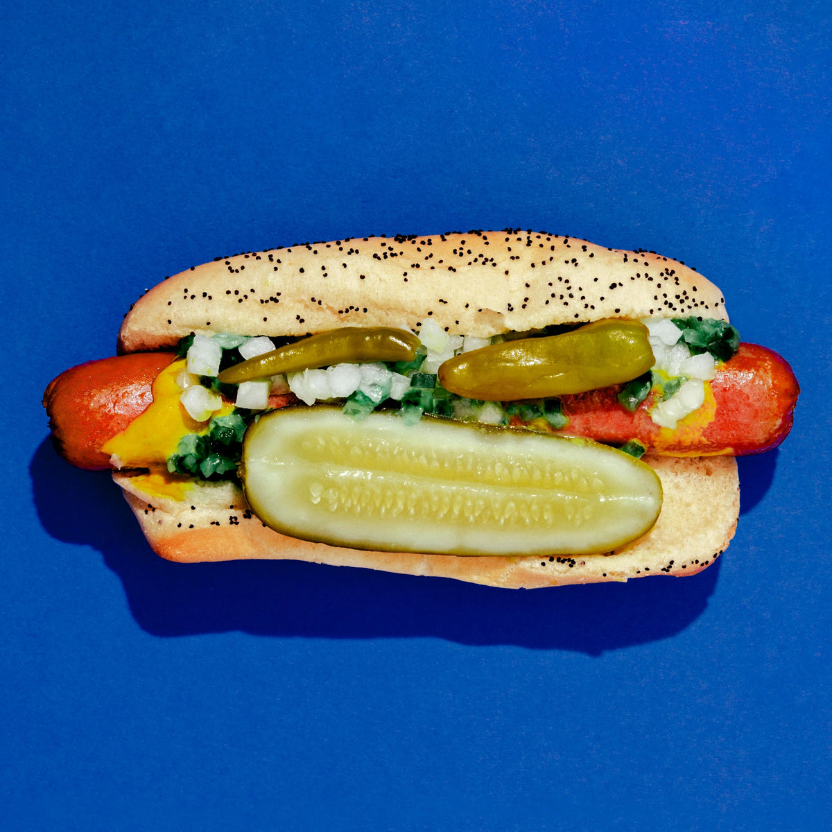 A top-down view of a gourmet hot dog in a sesame seed bun, filled with mustard, onions, pickles, and green relish, set against a solid blue background.
